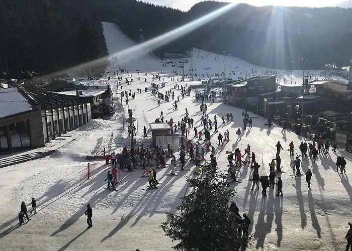 Flora 619 * Borovets